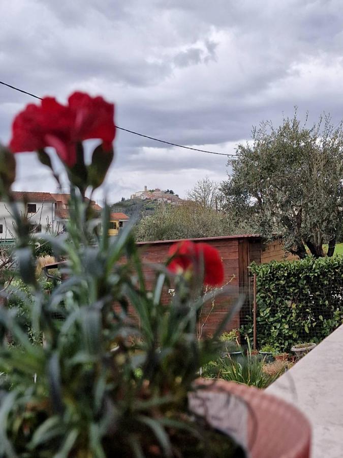Apartman Sandro Motovun Eksteriør billede